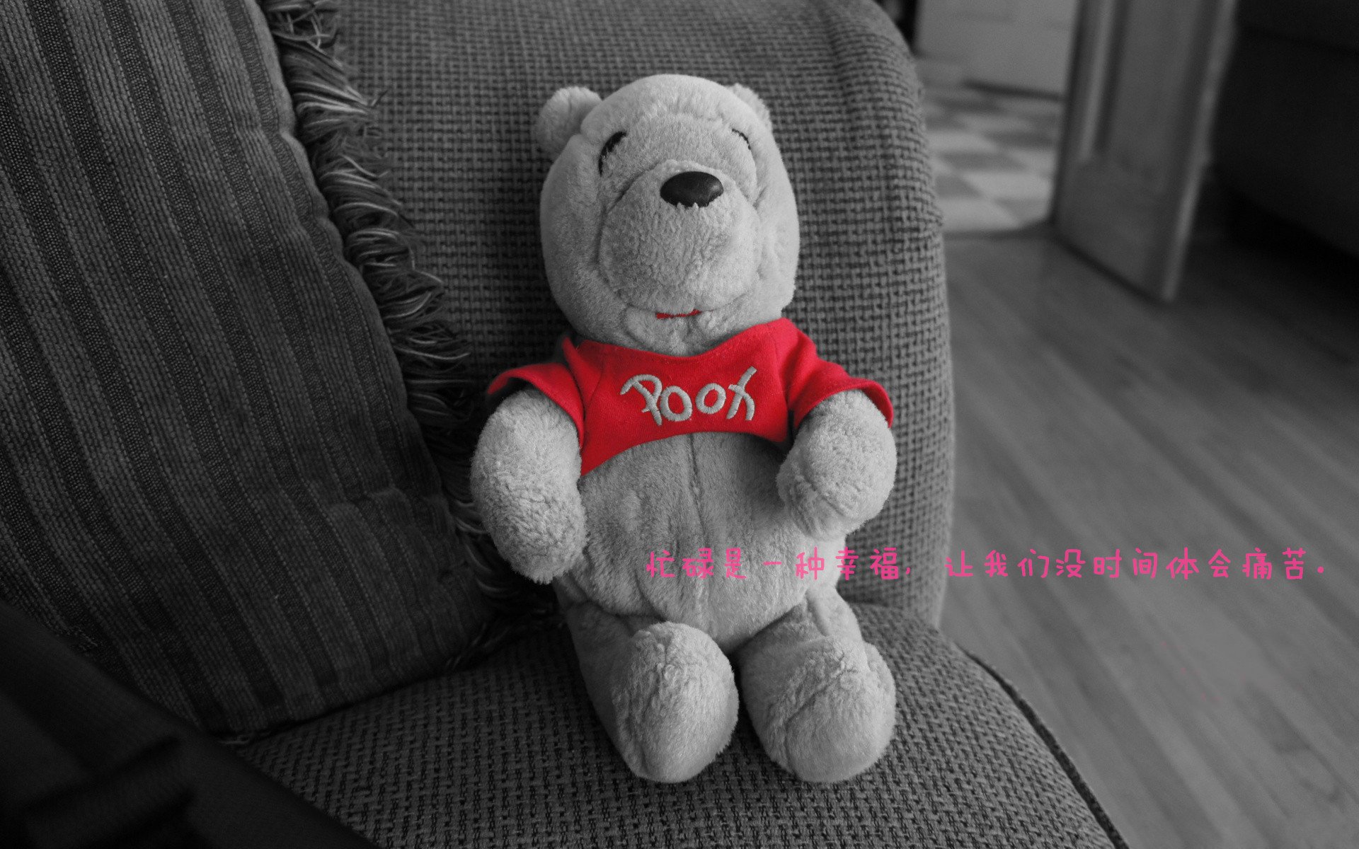 年度焦点之战,深圳队强势击溃上海队,篮球盛宴引爆狂潮