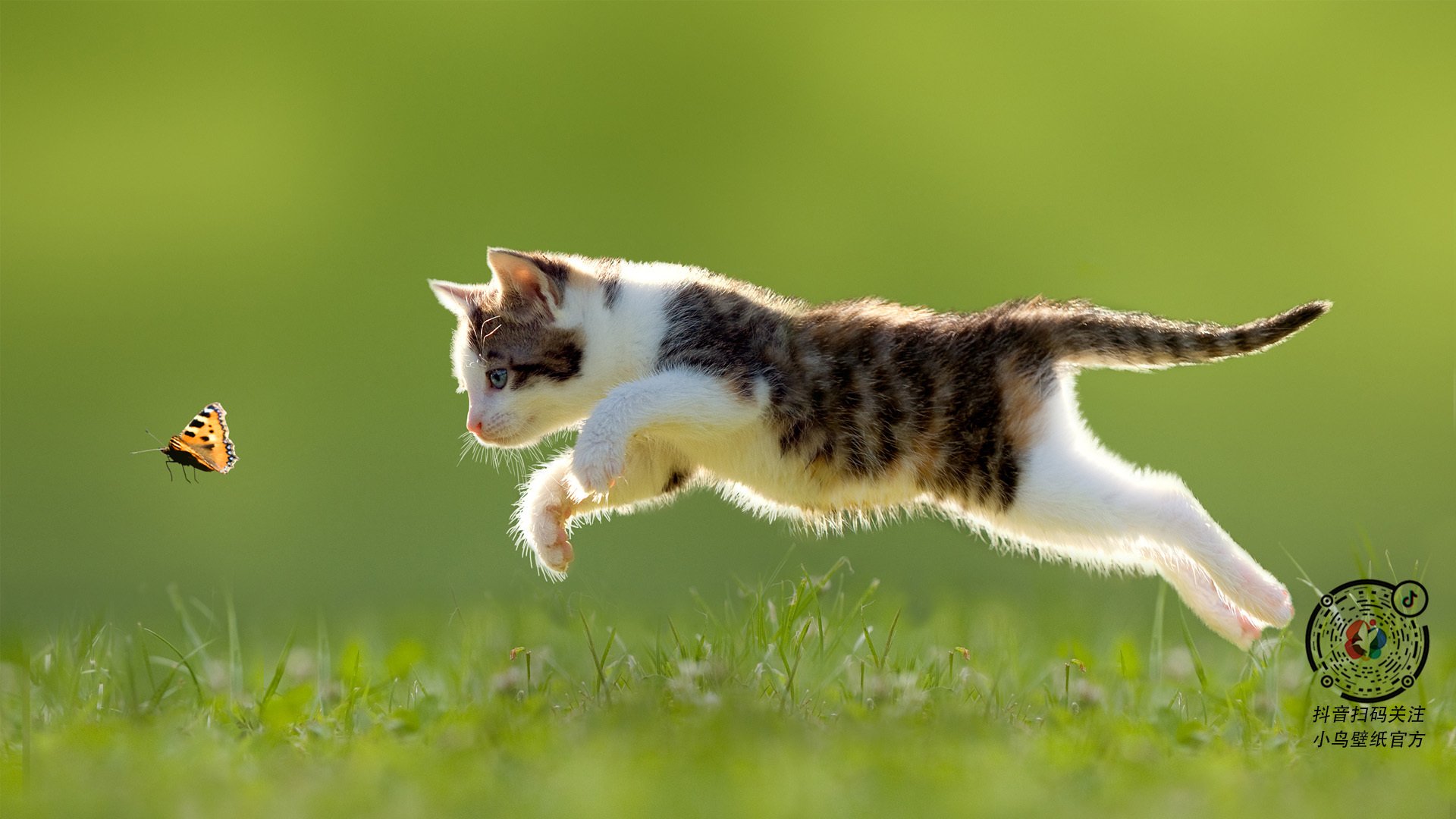 范戴克,那个把澳大利亚时钟拨快了一秒的人