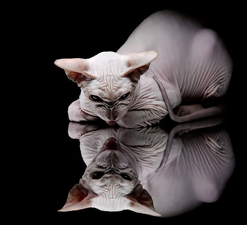 当深圳队签下杜兰特，一场国际邀请赛如何改写篮球认知