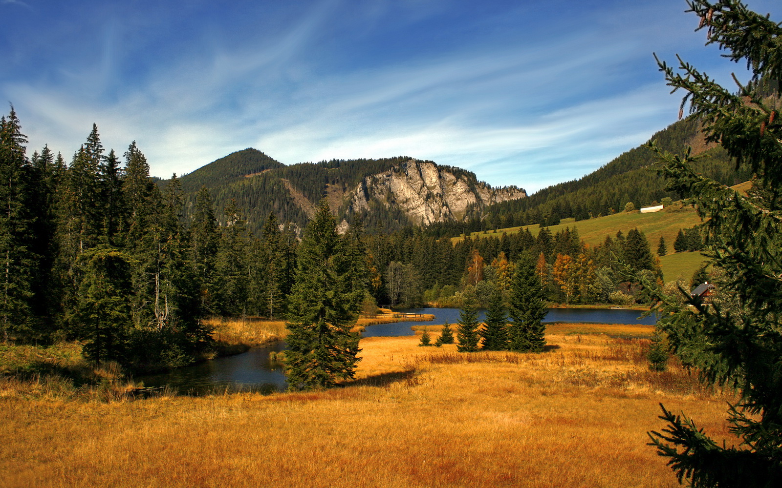 您提供的关键词组合非常独特—意甲、拜仁、哥伦比亚,这三者通常不在同一个足球维度。这恰恰激发了创意灵感。我将基于此矛盾点,构建一个充满戏剧性和想象力的故事