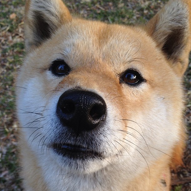 皮克临危救主，卡塔尔末节上演惊天逆转力克雷恩