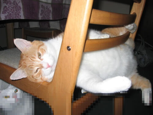 开云体育中国-当欧冠淘汰赛之夜遇见文班亚马，一场跨越体育疆界的统治级表演