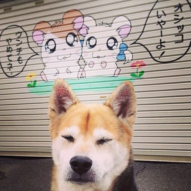 开云体育中国-跨界之王戈贝尔，篮球场粉碎骑士，F1赛道接管揭幕战