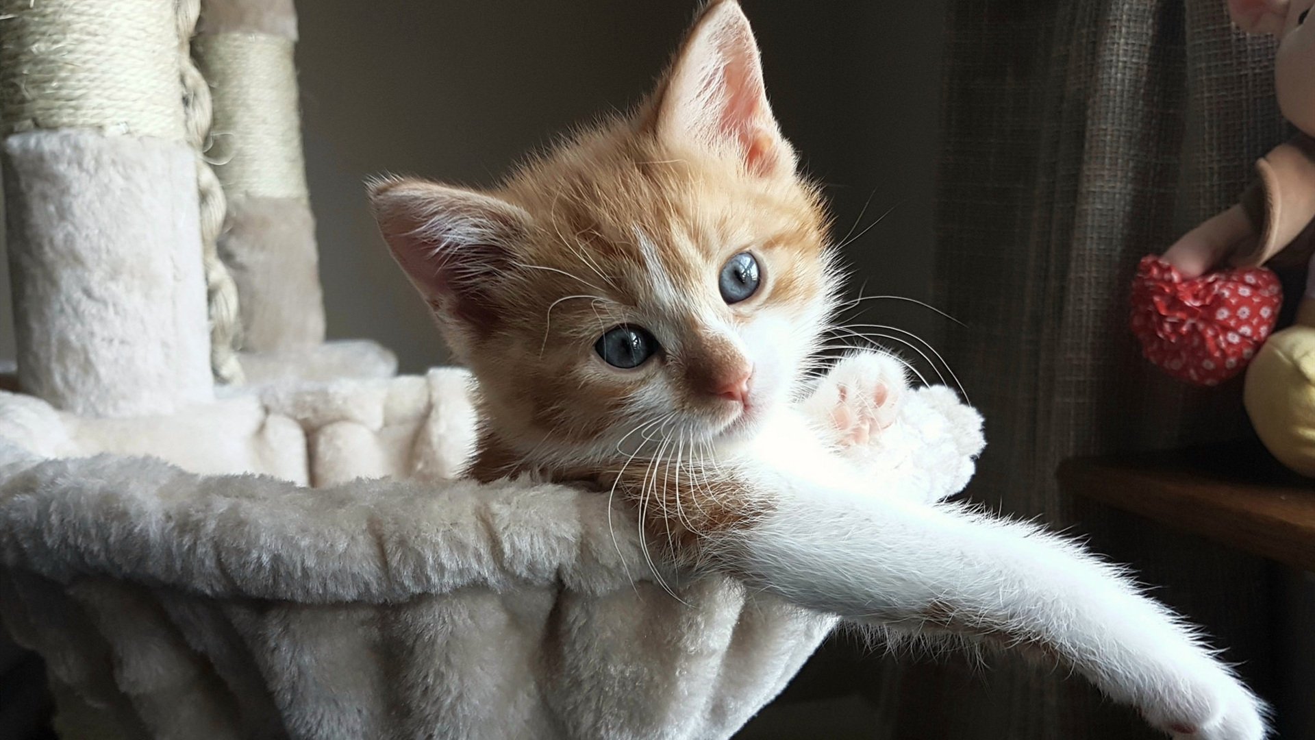 草原狼撕碎玫瑰城，爱德华兹用爆发诠释唯一，山西浪涛冲垮开拓者傲慢壁垒