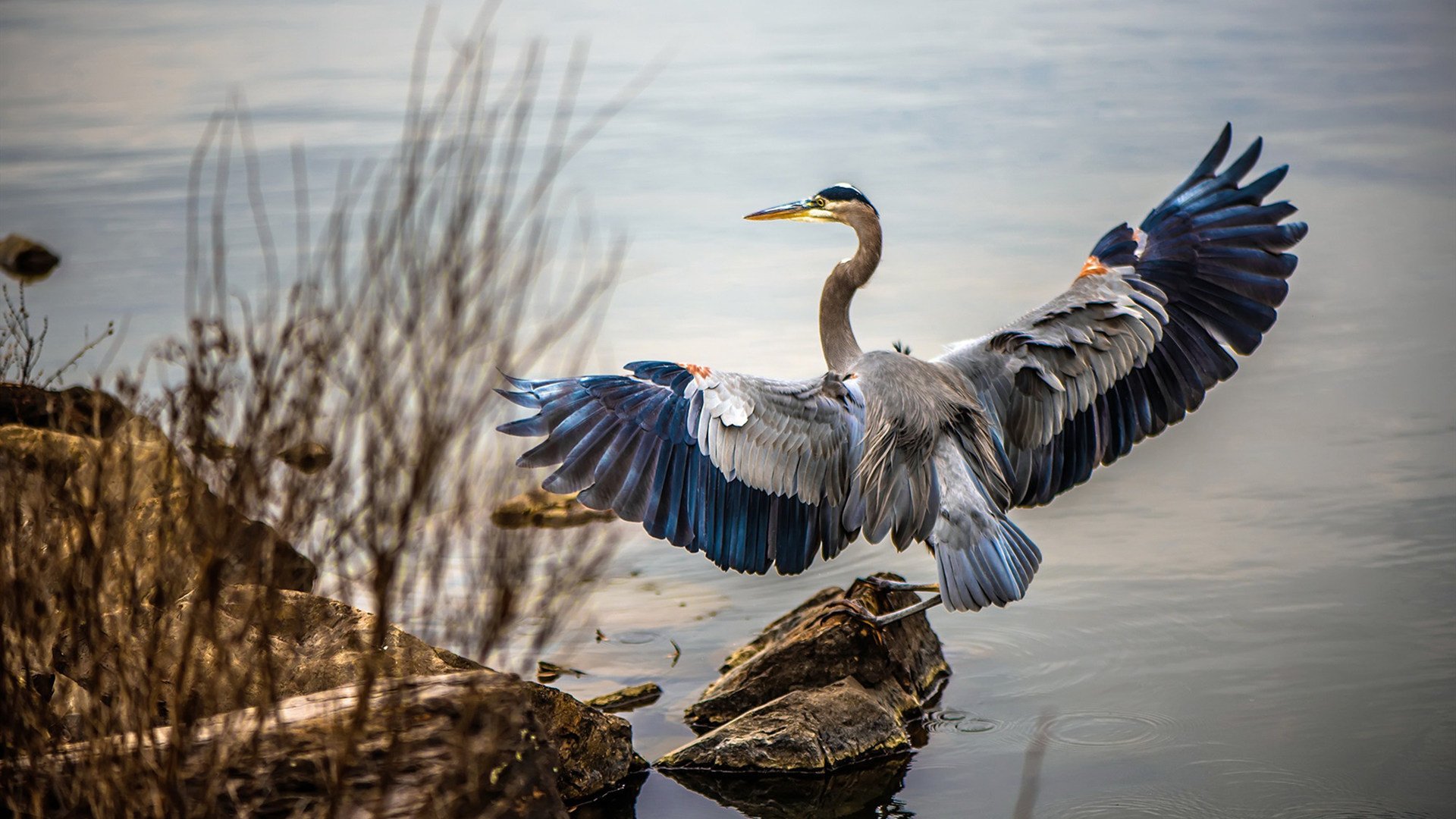 双星闪耀,新赛季之夜的速度与意志