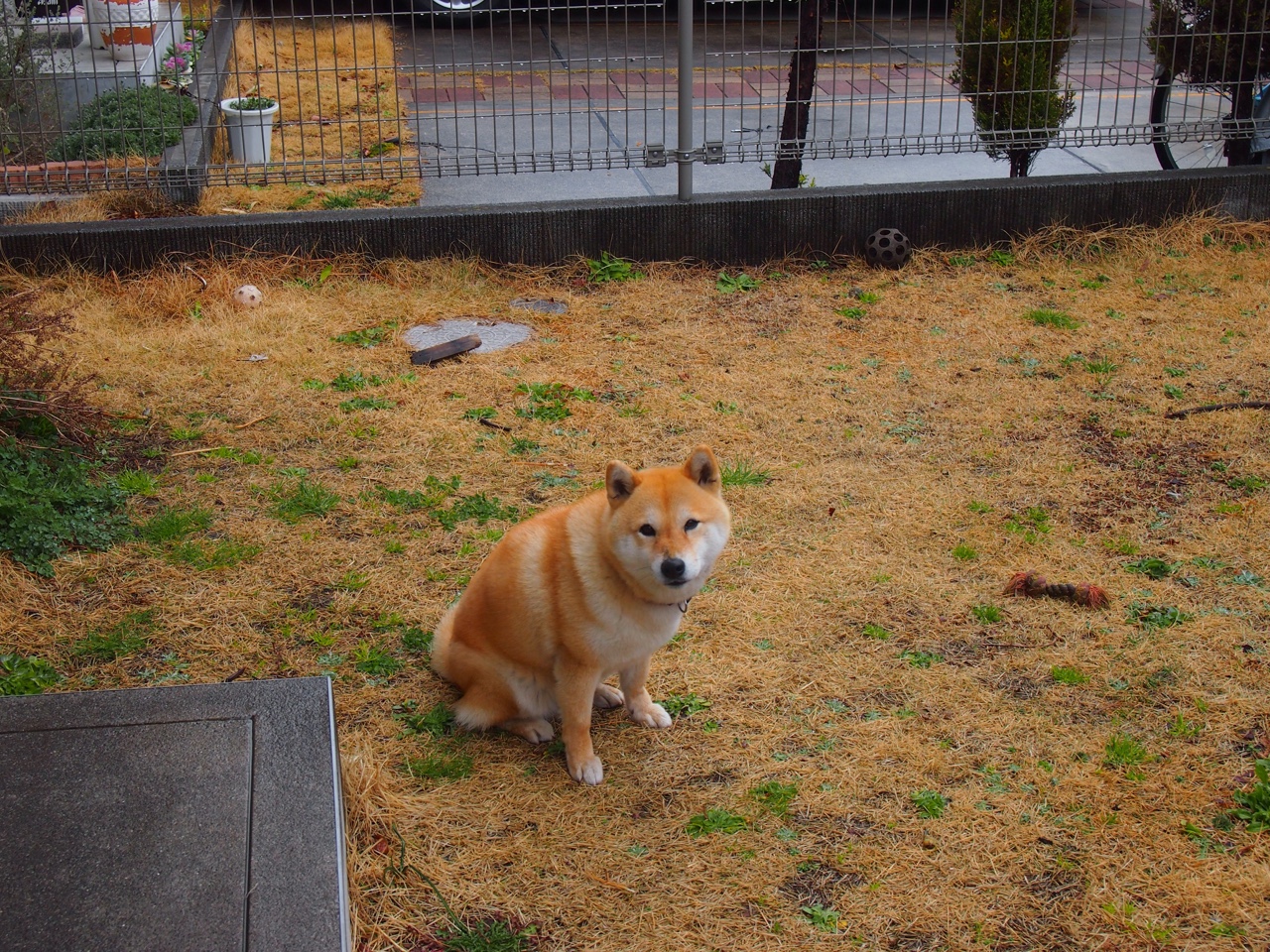 开云体育平台APP-排名之战与救赎之夜，当帕尔默的星光刺穿雷克雅未克的寒冰