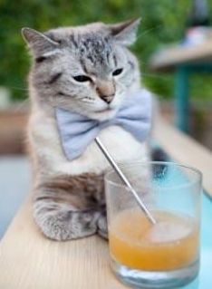 开云sport-当火山遇见沙漠，卢卡库在奥运铁砧上锻打的历史隐喻