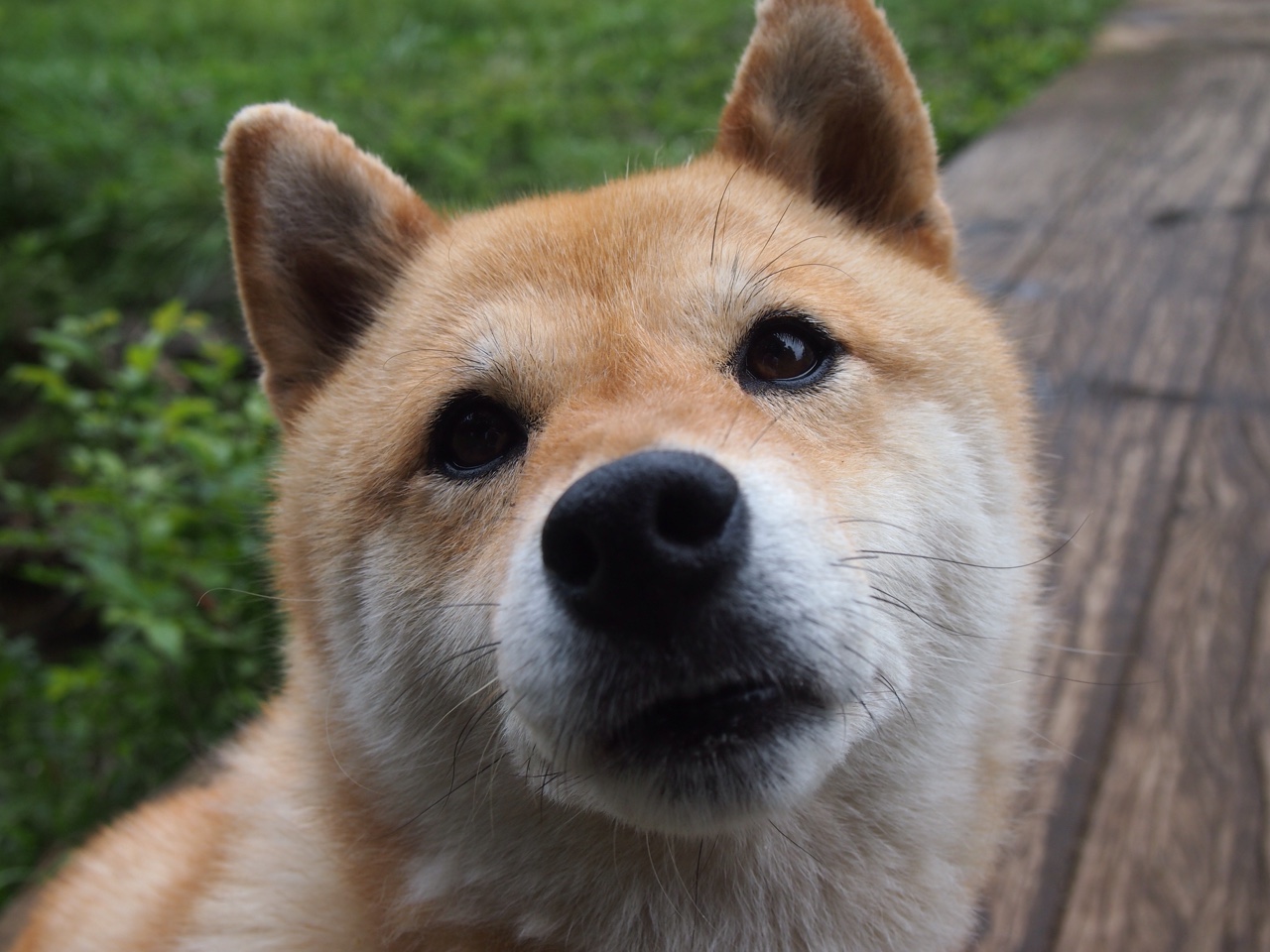 开云体育中国-奥地利指令，当电竞霸权强拆里昂，李刚仁用一记东决式绝杀接管世界