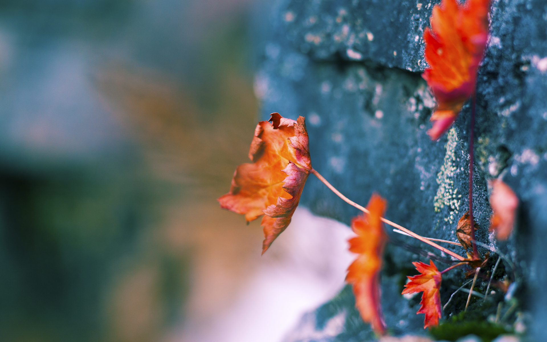 引擎咆哮与维京战吼，当巴林赛道遇见安菲尔德奇迹