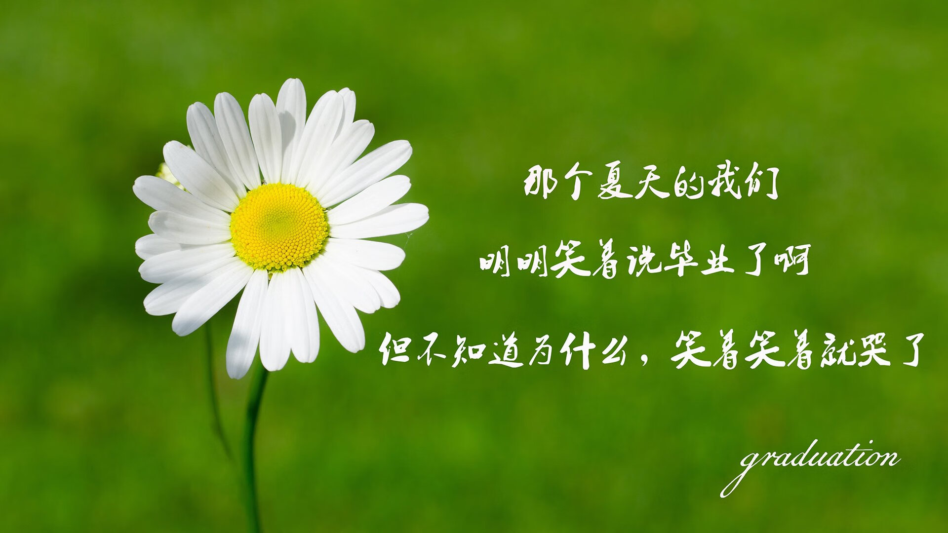 跨越东西的篮球诗篇，马刺的团队基因与保罗的关键时刻哲学