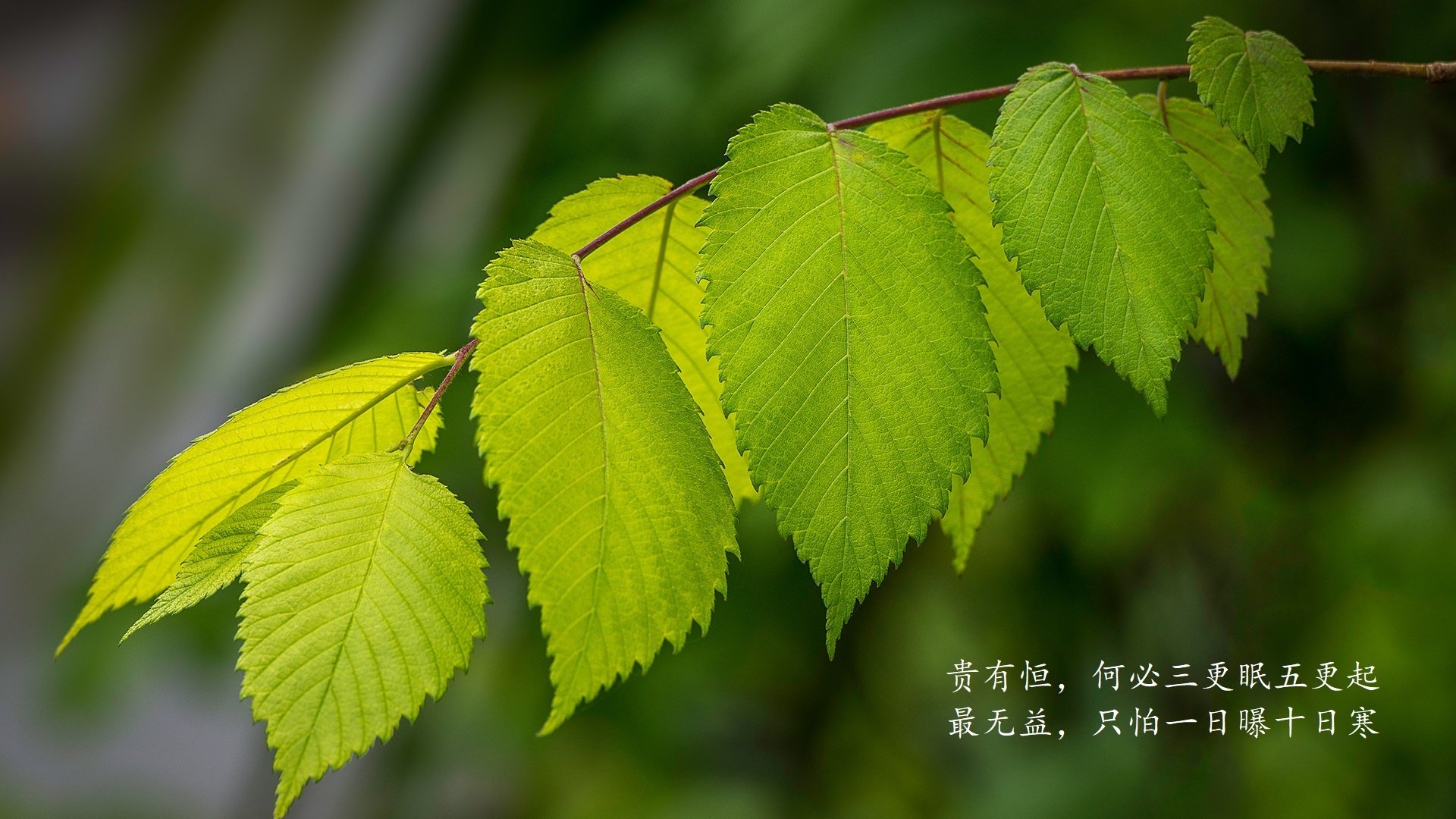 开云体育-颠覆认知！尼克斯颠覆性打法碾压勇士，布克在年度焦点之战全面接管比赛