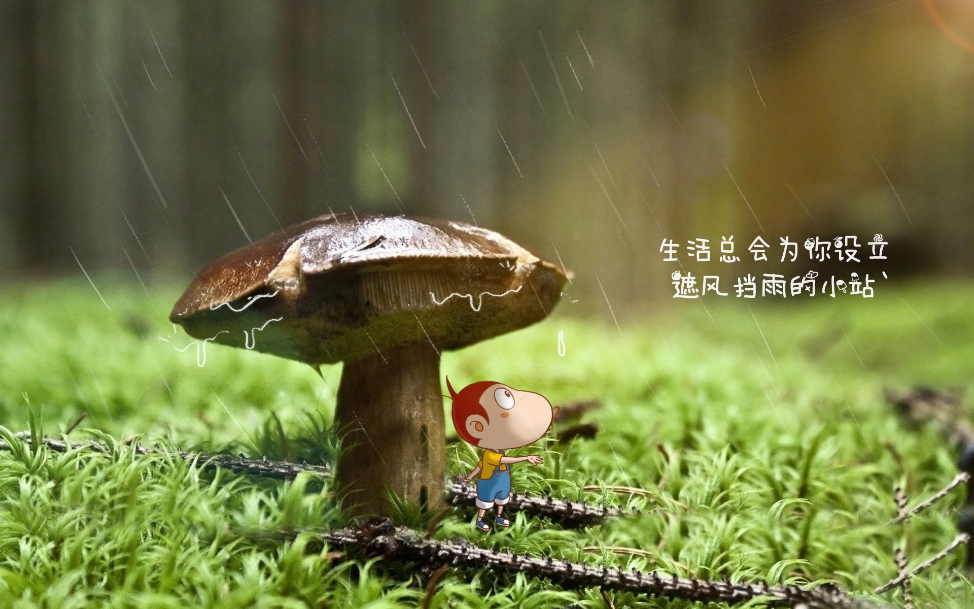 开云sport-孤注一掷的逆袭，费利克斯铸就摩洛哥世界杯出线唯一性
