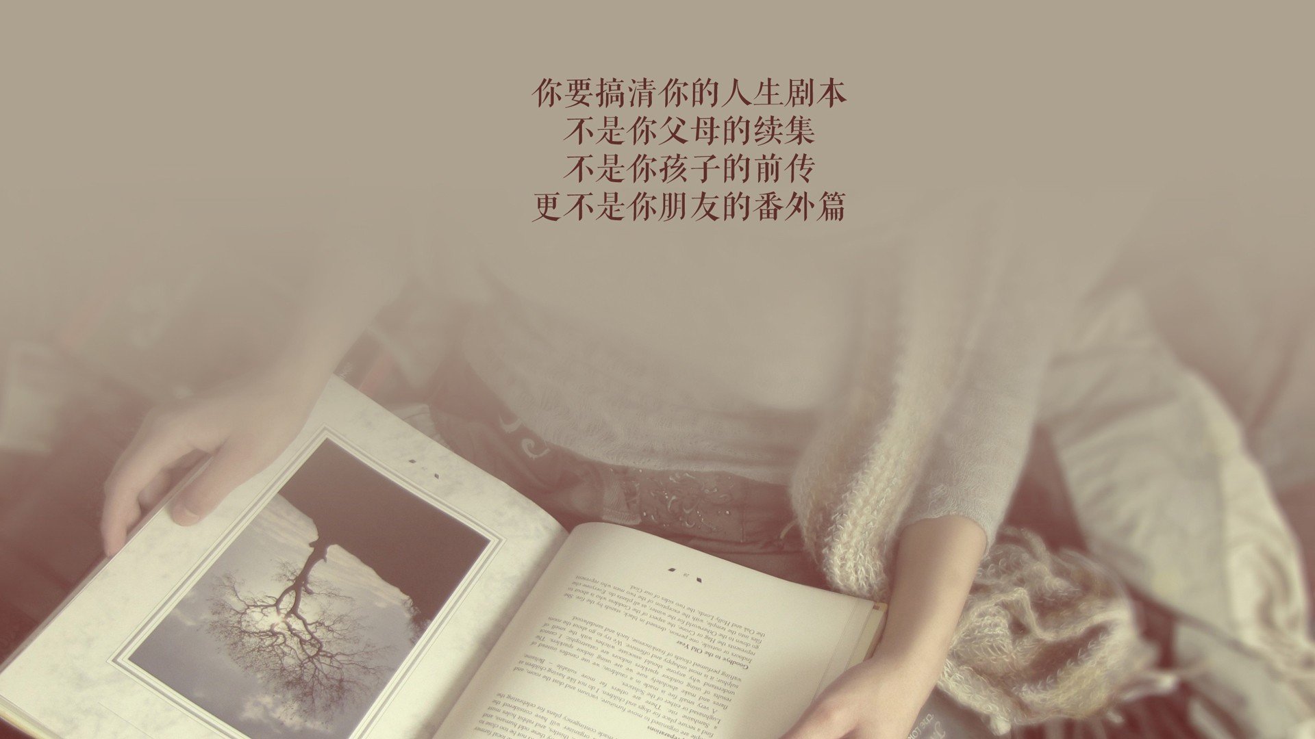冰与火的唯一交响，哈基米与喀麦隆在2026世界杯出线战中的巅峰独白