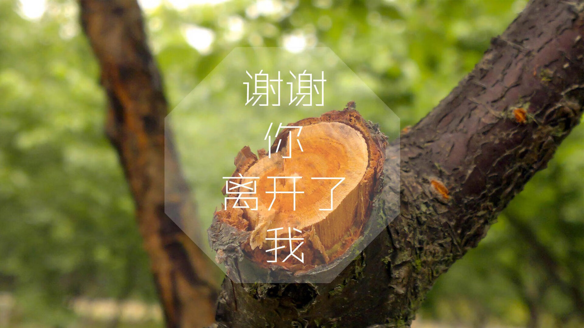 开云体育入口-唯一性的三重奏，吉鲁的纪录，日本的碾压，以及一场没有强强对话的头名之争