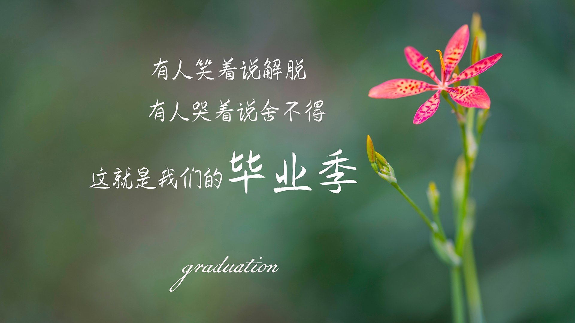 开云sport-铁血逆转！京多安战术变脸造奇迹，乌兹别克斯坦2-1乌拉圭，F组死亡之局一夜翻盘